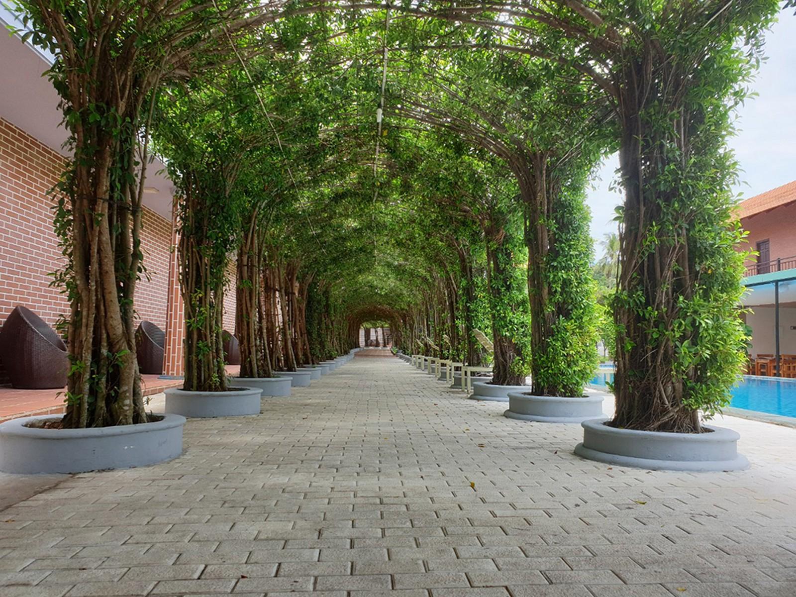 Countryside Phu Quoc Resort Екстериор снимка