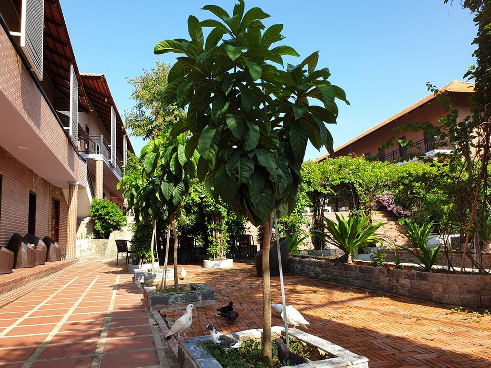 Countryside Phu Quoc Resort Екстериор снимка